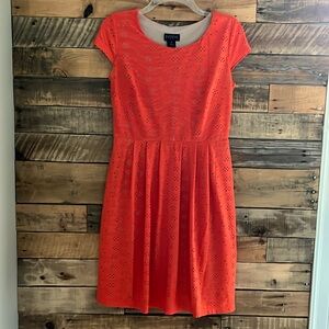 Orange knit pullover dress eyelet lace Enfocus